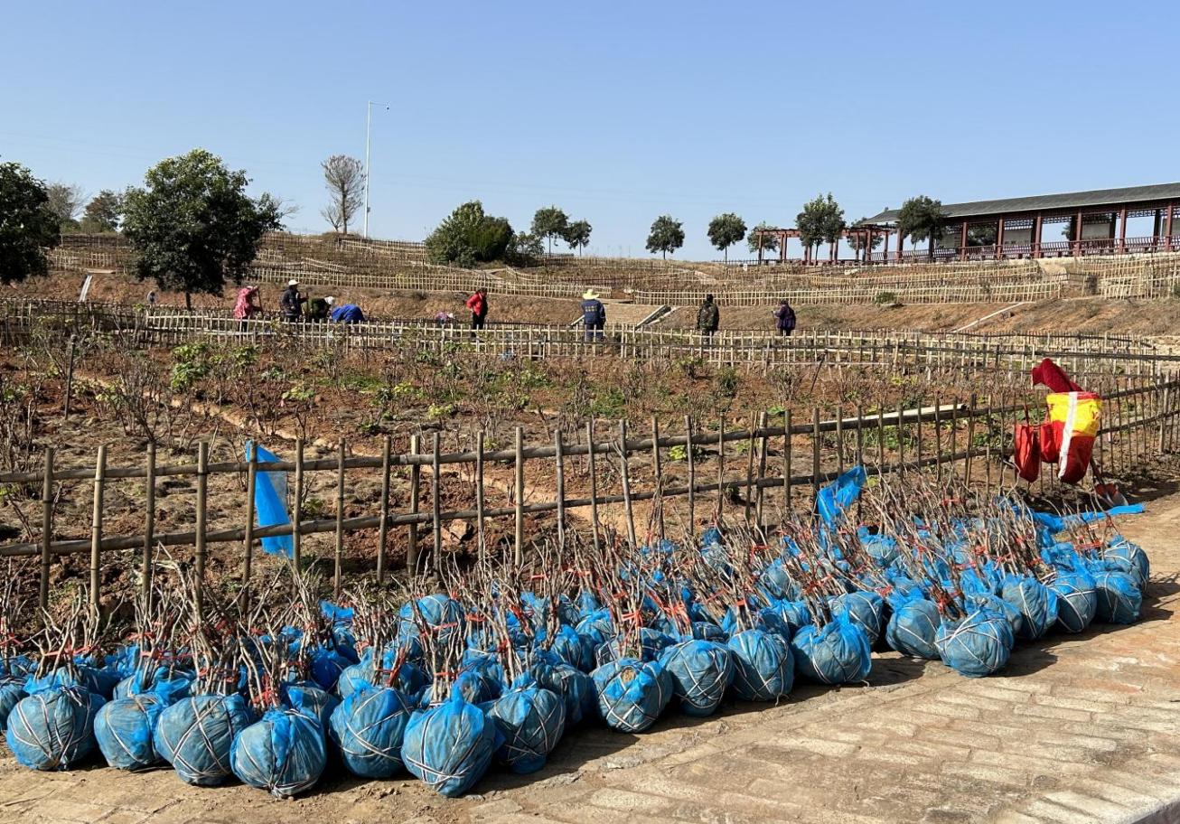 ea4d35d5bd39faf0a0c84a134ad6ada5