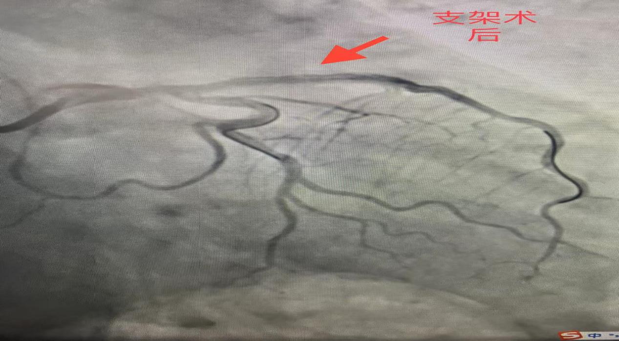 8f3605b67c04ade244db25bfafc4f45