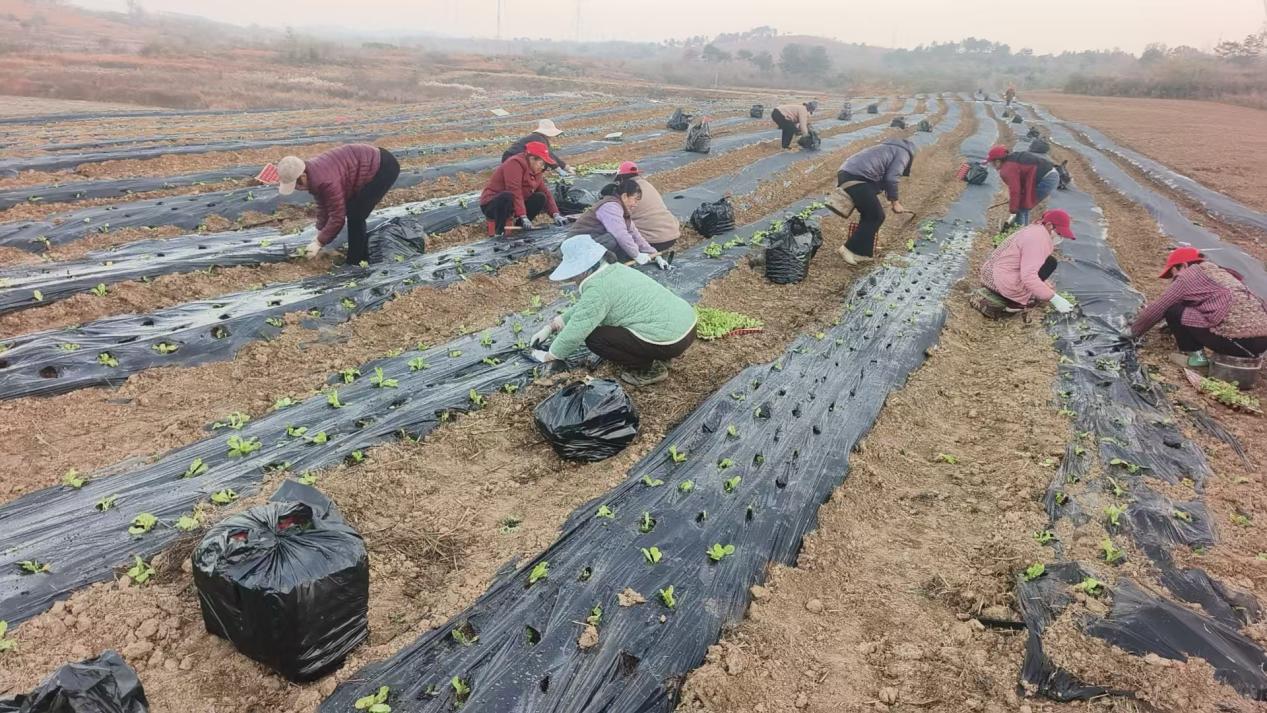 362d57cf8117941d5e1dbb344d7e7dd8