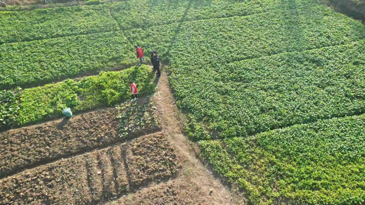 38988c01ea1be01e1de04f411401339