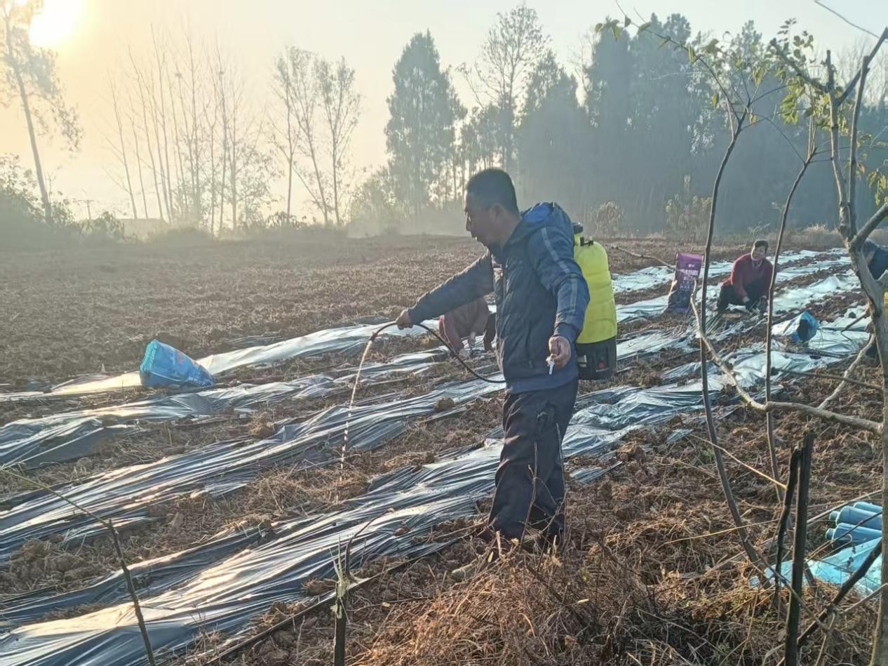 27eb21e3ac1157832ef910b844c8d6a