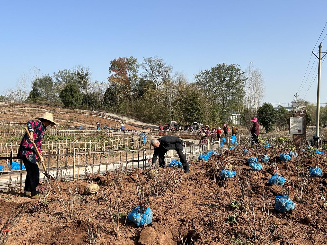 3ef7ff765633de0e1b14d6744a9690e3