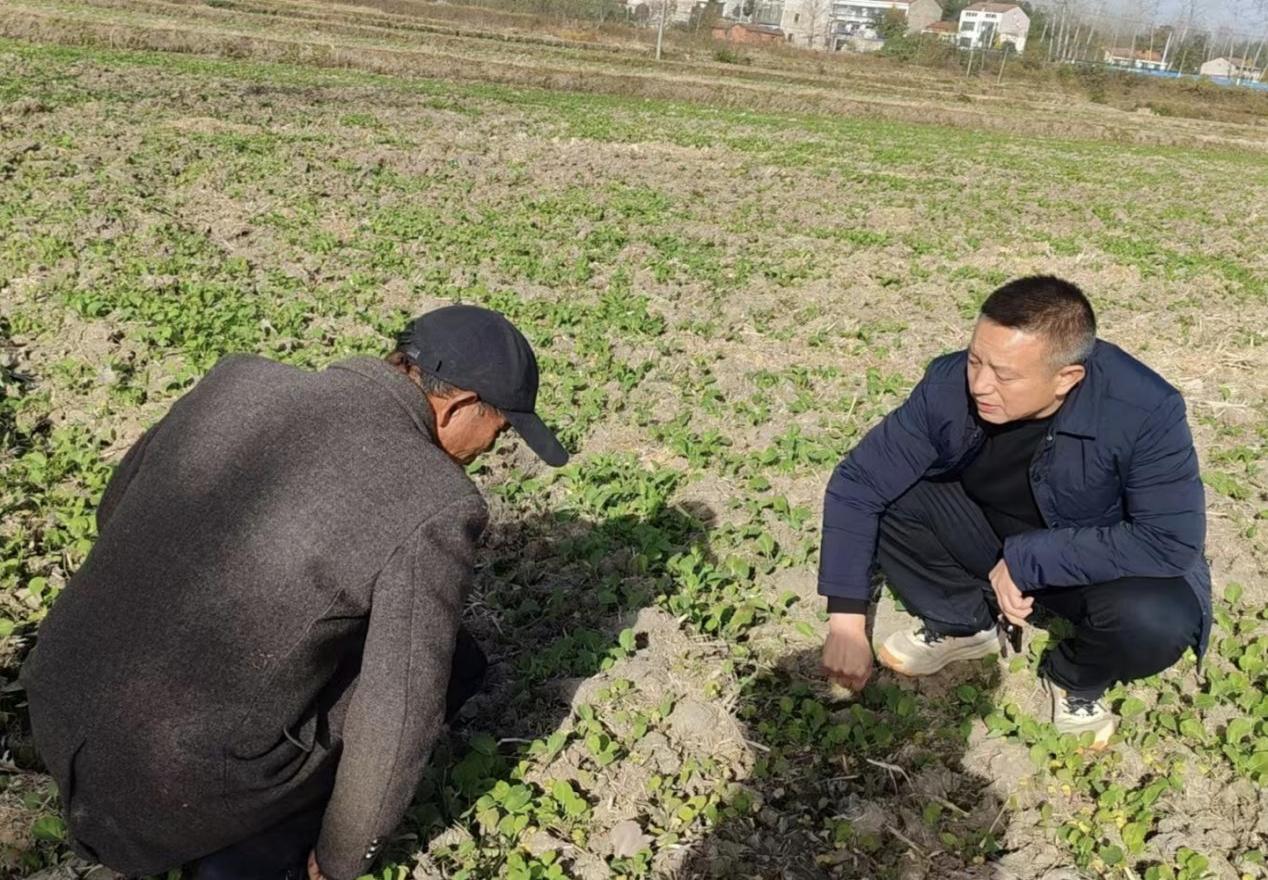 933036ef230091fb7b03770a4945166