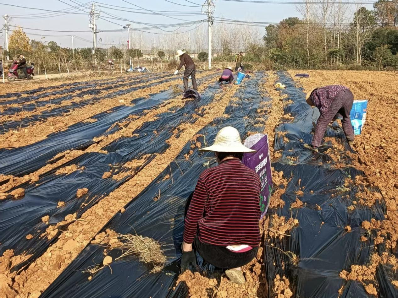 9fab5a643863138ca8bb6a3cb1af343