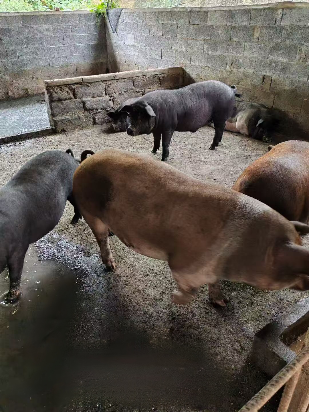 77c012b6d9d58d1bc7d3553ac87dd620