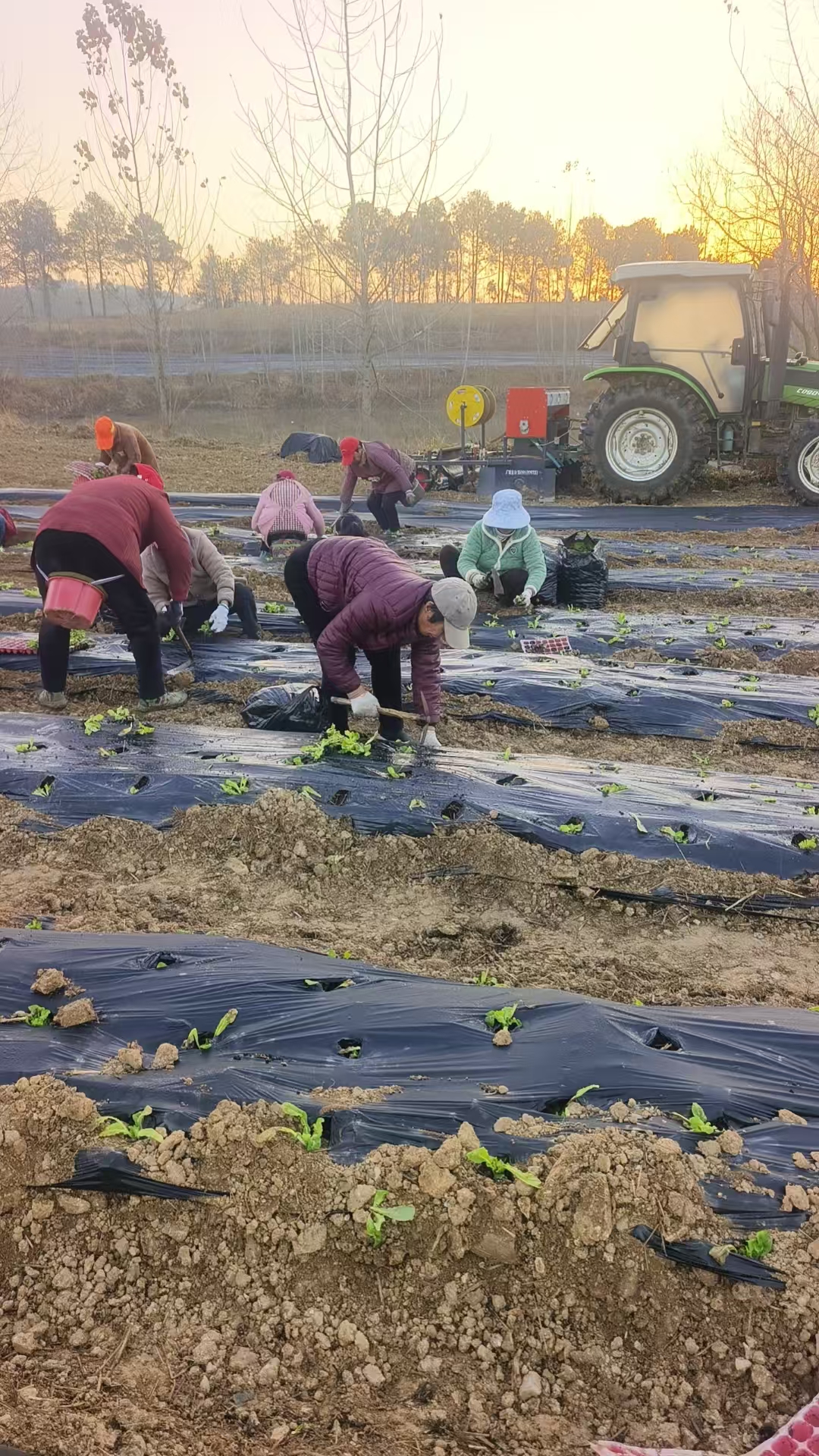 cc2b441cb2429887d45d1c42400d9a9b