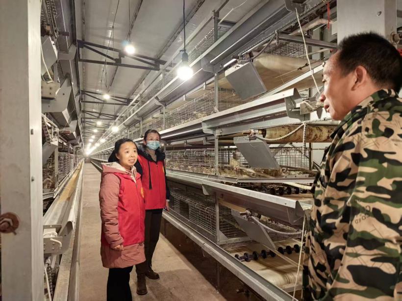 微信图片_20251205084514_565