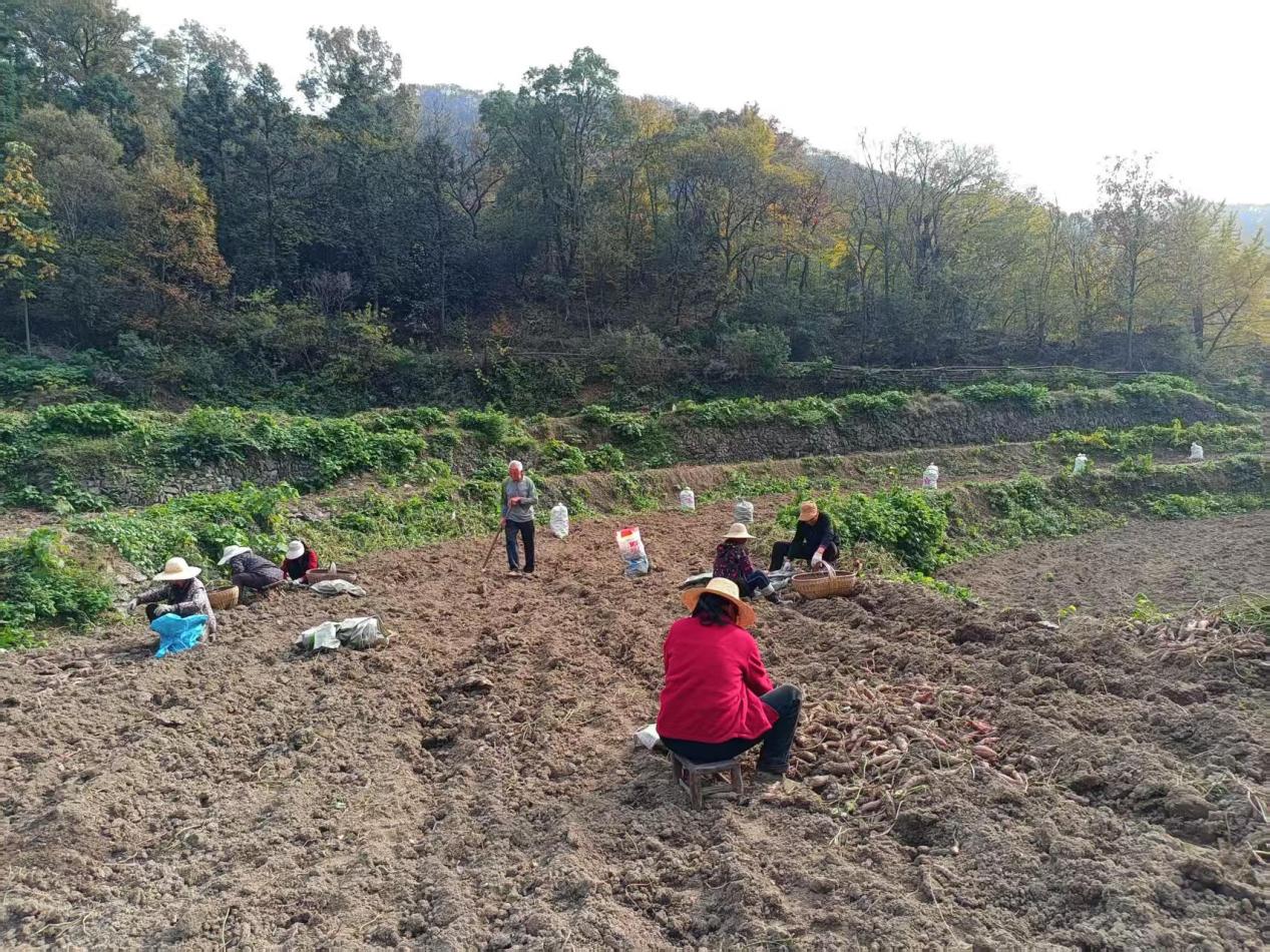 c5397ac9a52f0f051654489929dd5a7e