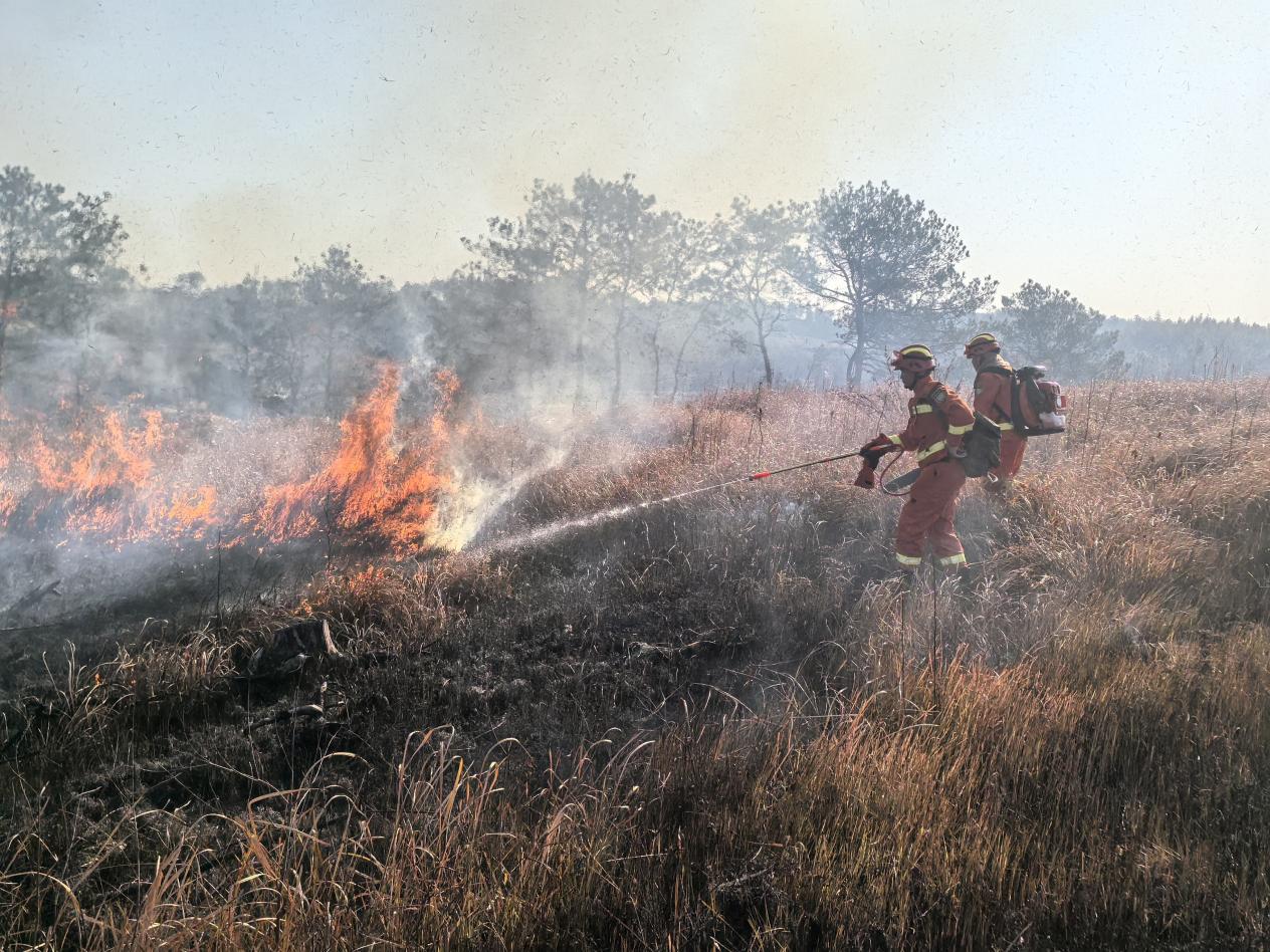 a091449058cc37a949d54d8bfe2fa32b