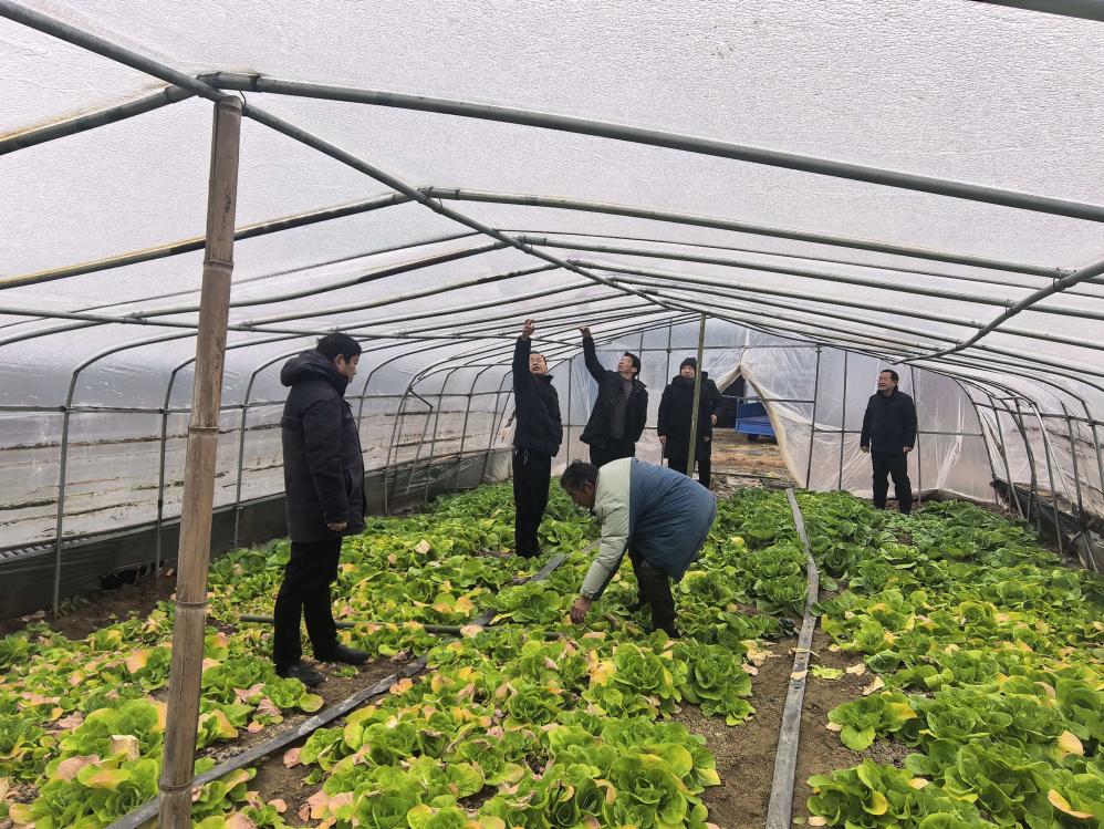 6c9a5874e767ab7cb5a6a26245b01820