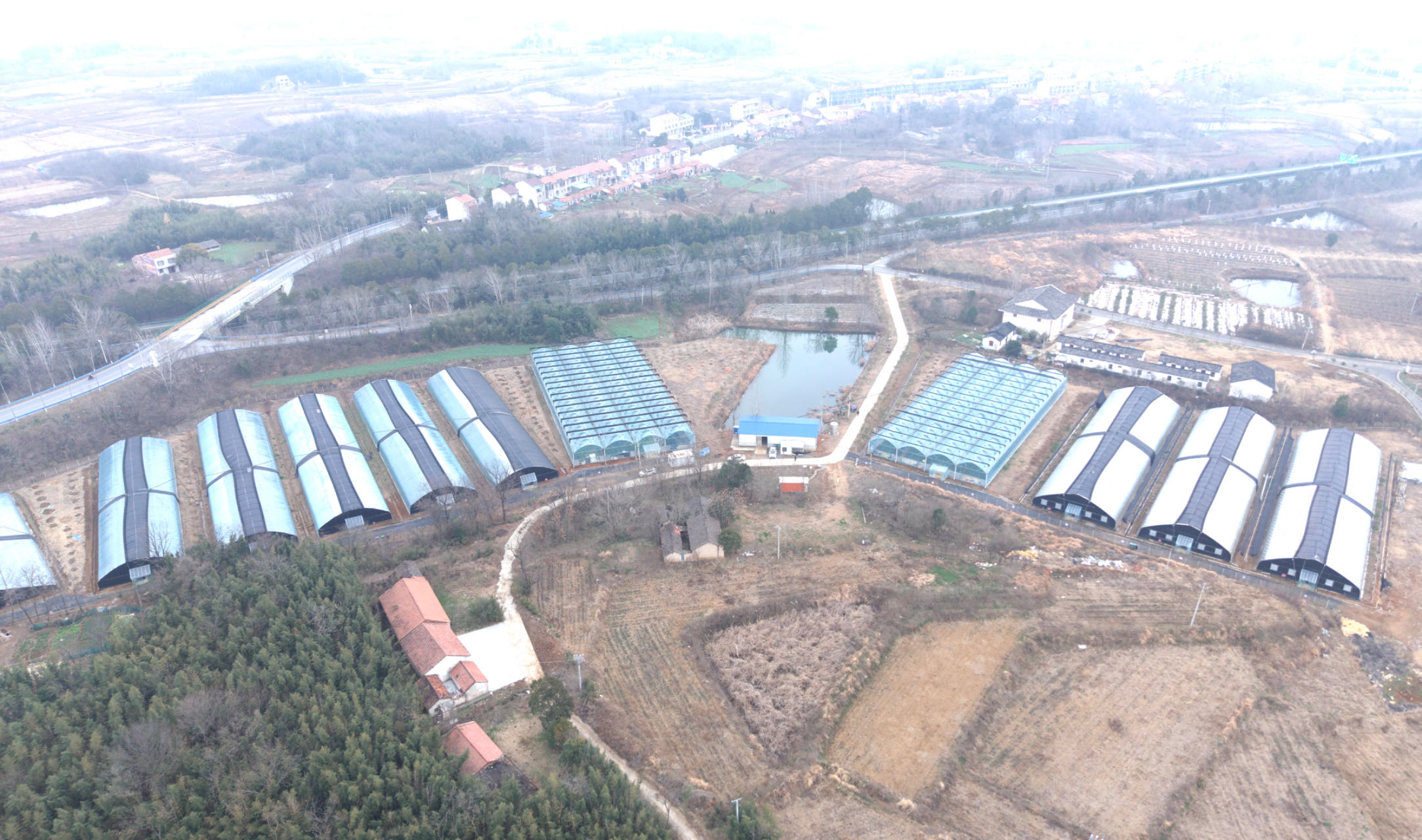 fac188c98aea9908842e80ea0d1e91b