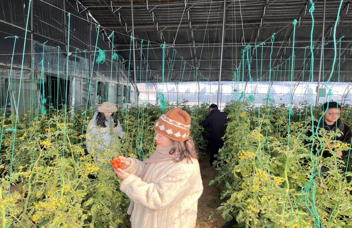 12d6b42437528dfdd4e89c5ab93d3eb