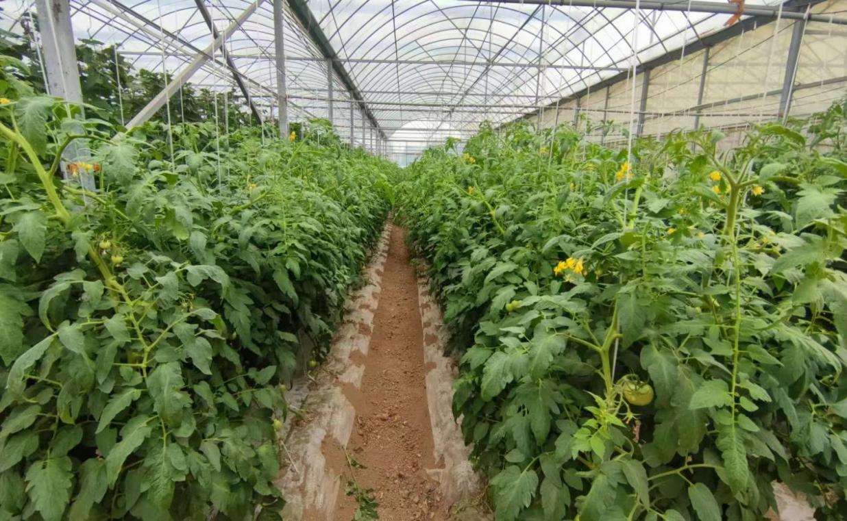 b40e8e738f6b2e65d075de1be4fd3d3