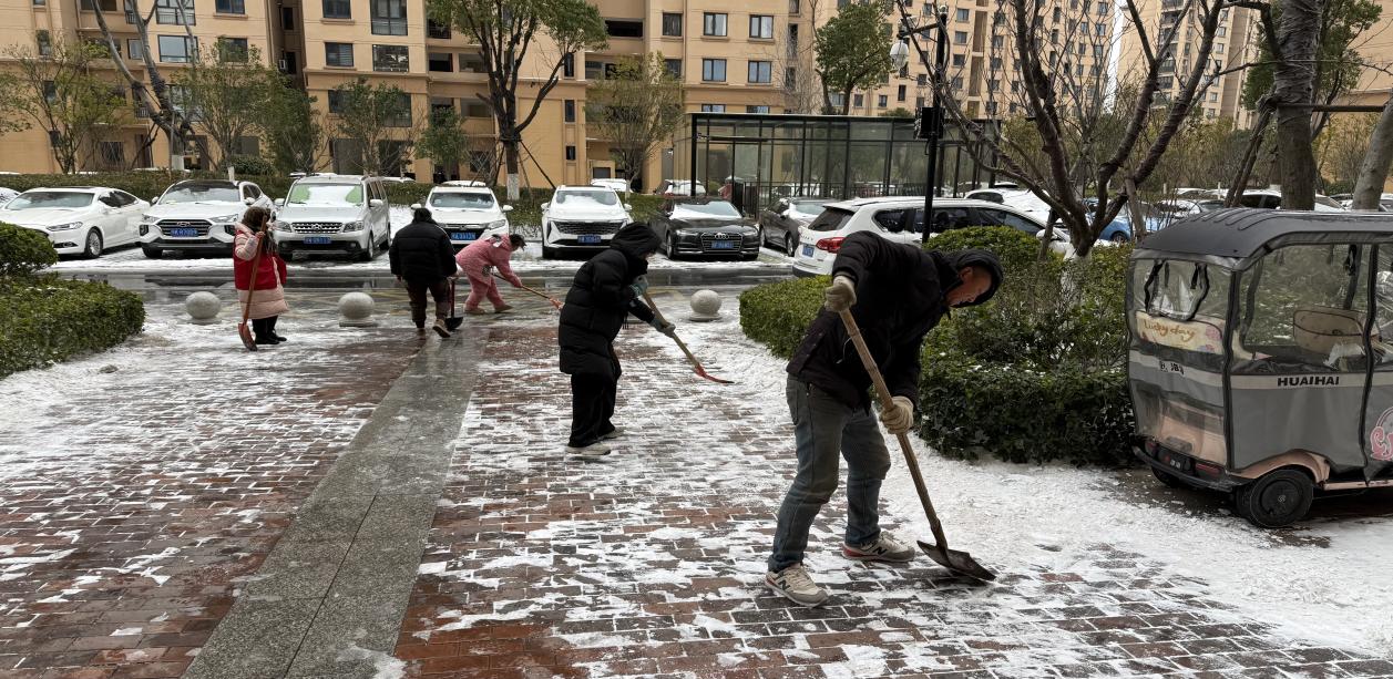 c52a3003ec4b48e3aaf1f3dac39e5651