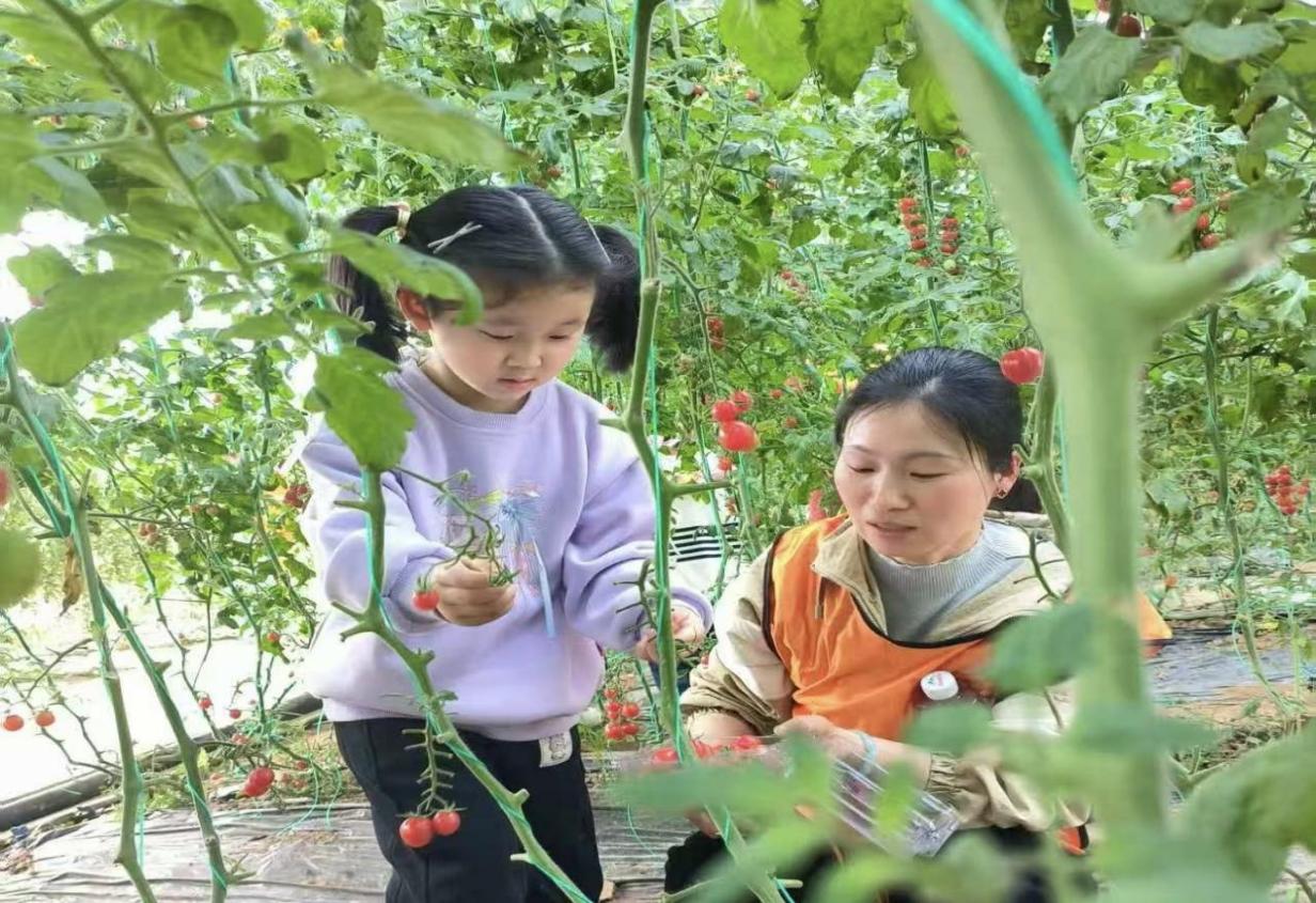 9993ce9b14d195393da5fd358a61c7a