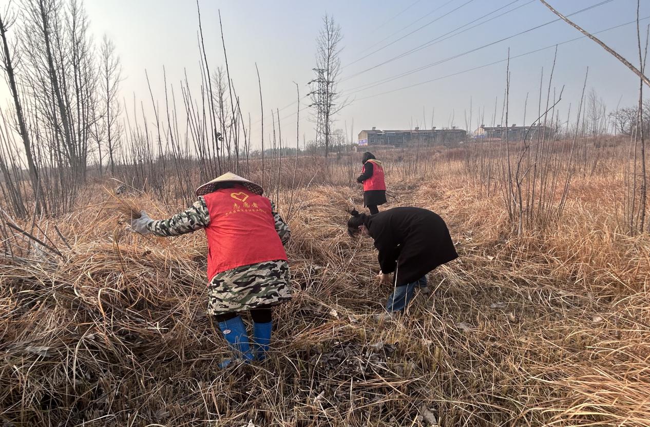 cd635a32da483c9d1e94dbb733a91149