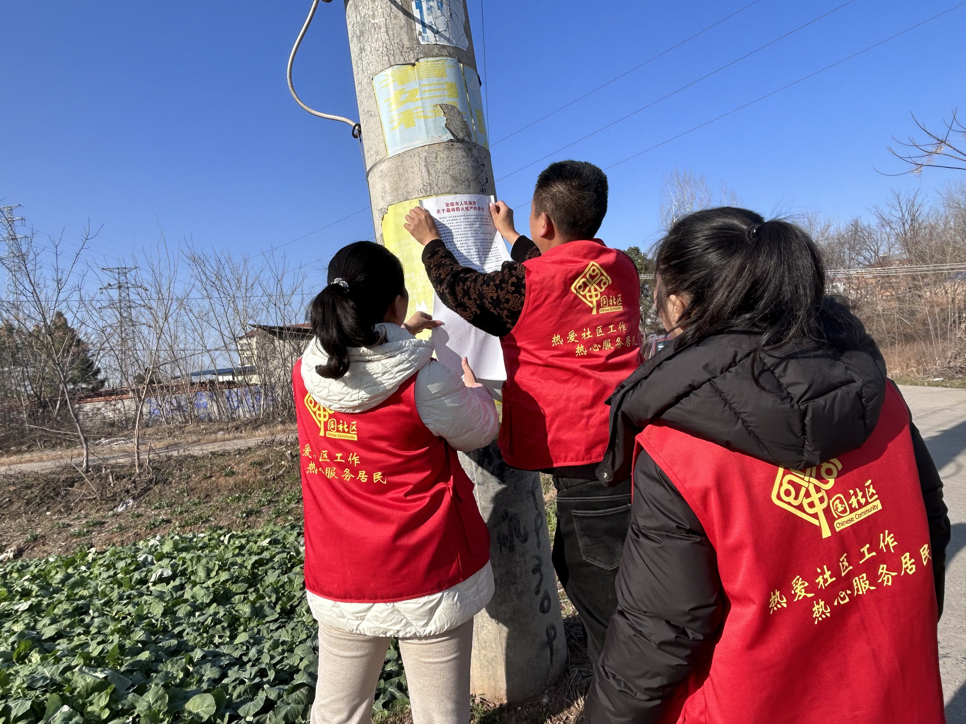 ee3a762ce1ec6d488466505731d48de8