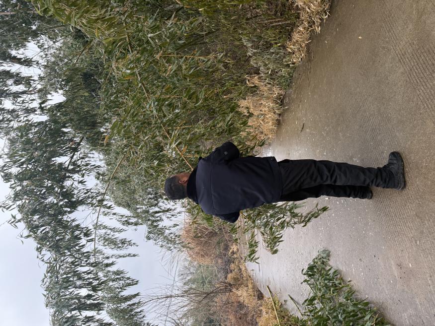 1145862cfb31ac42685def4bbd3144d6