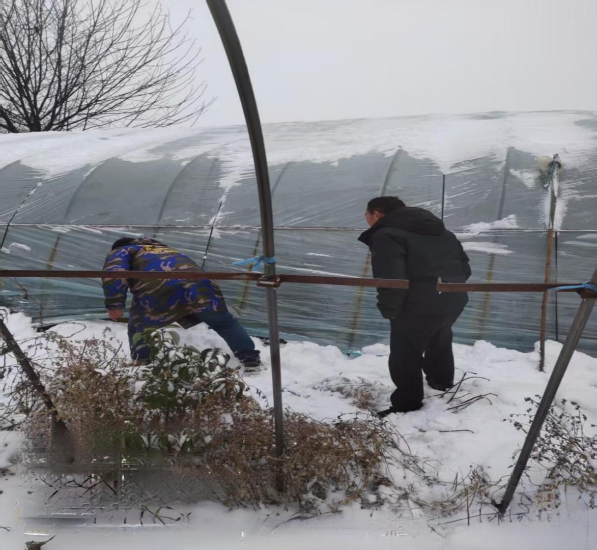 f8aa868f52223c06c1053bbd01280b79