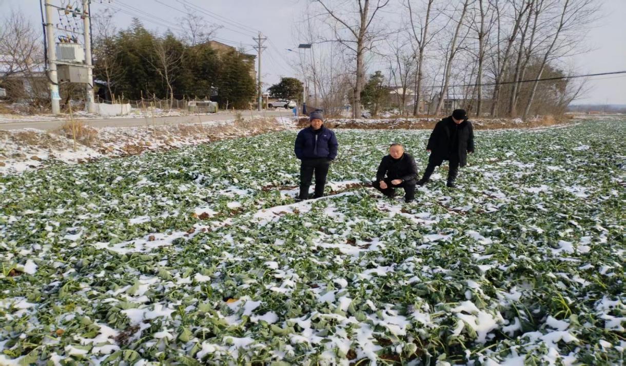 74b1ec46c589f54cb60619ebc90ff565