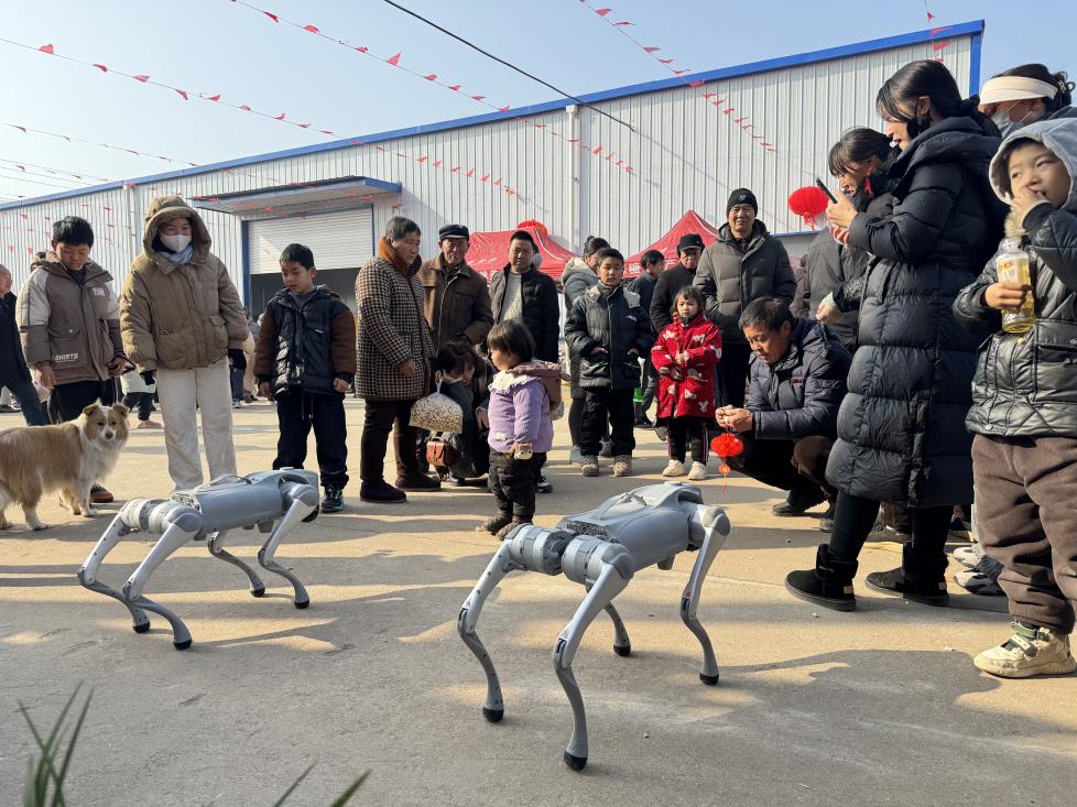 cdcaa5ff7a258be73970ddfcc522321