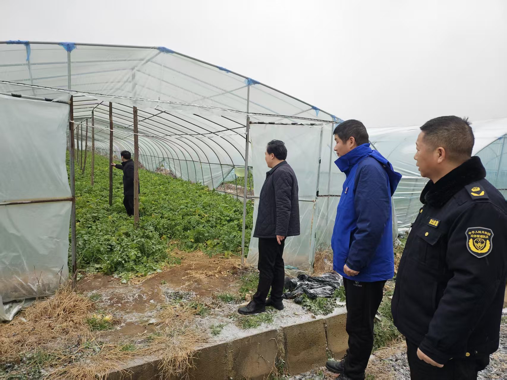 b436ed40951562efff8a9c6e20f023bb