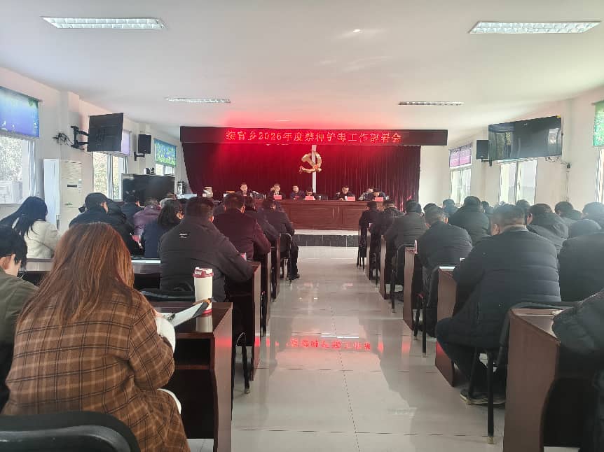 56EBC5C3DD342A44C6E9947430356ED3