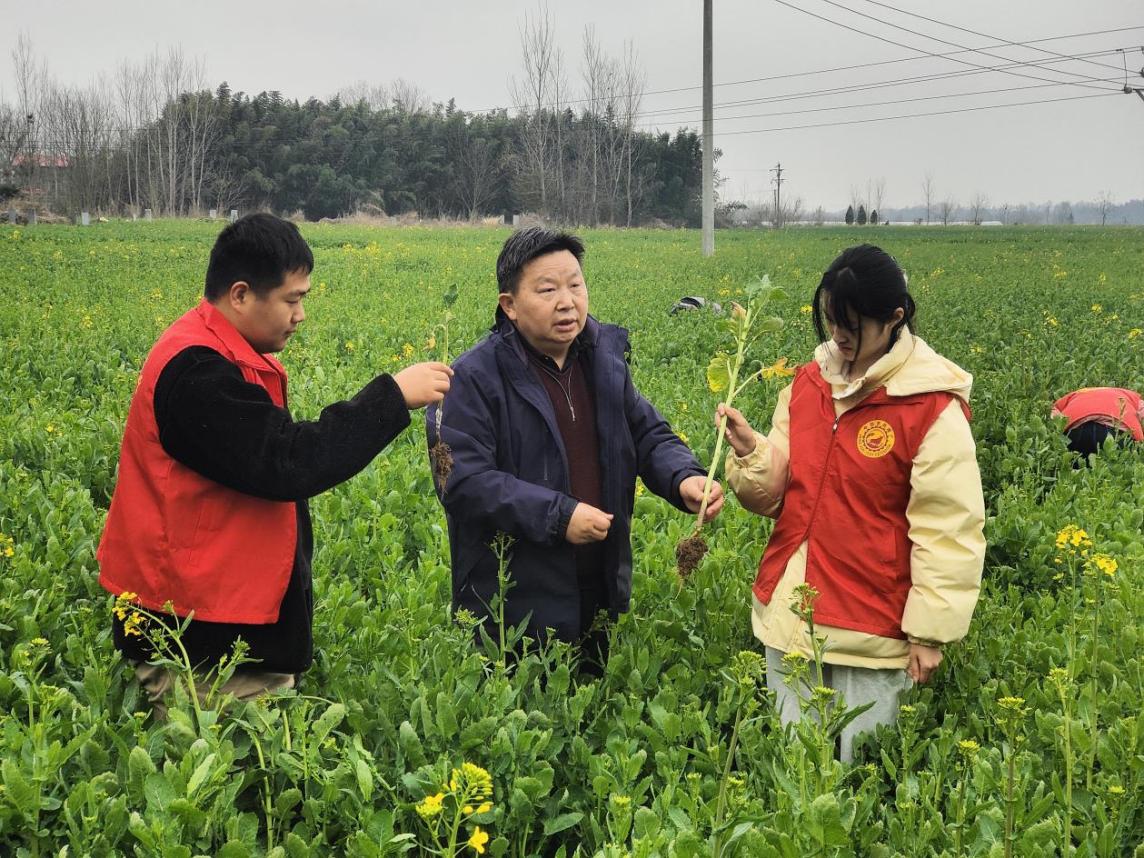 0c9c70af2e19b22c64146b64fed3c641