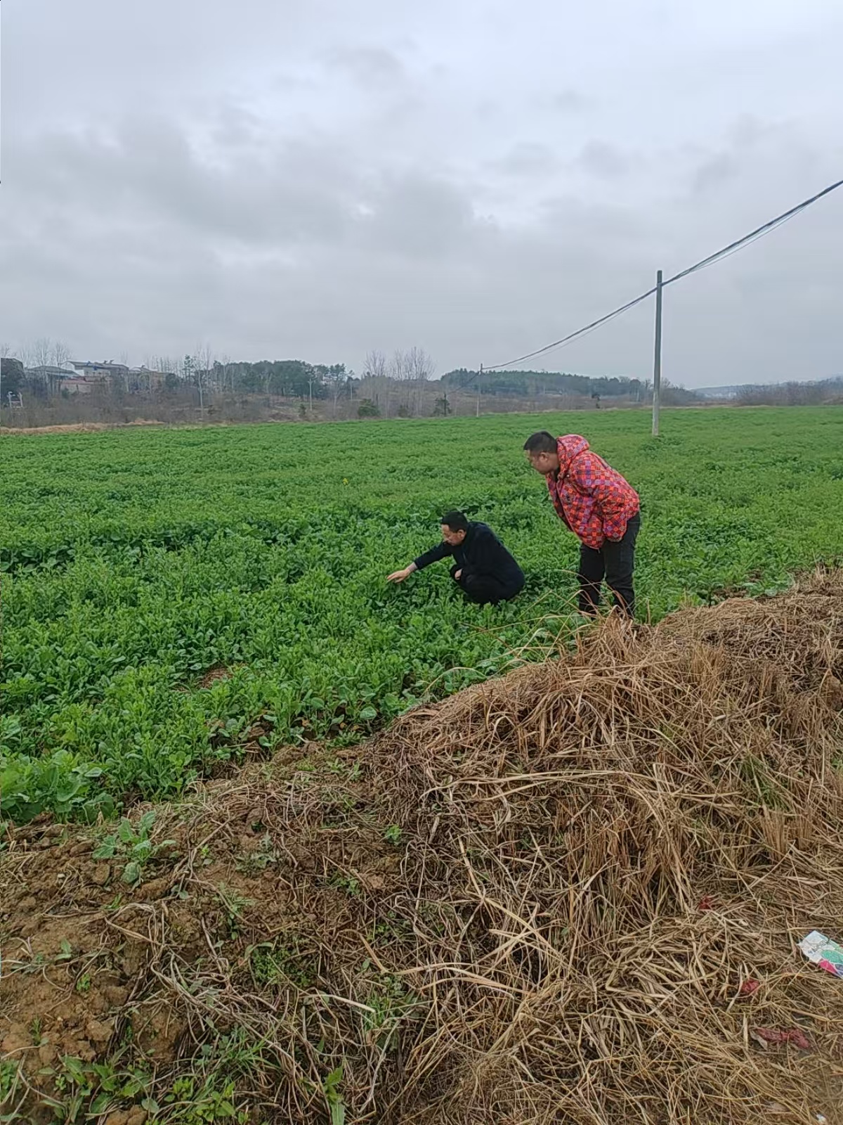 b976020cfa1bfe154730e4613dfe9d2a