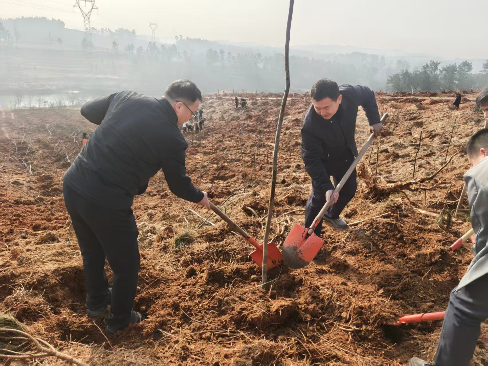 8bce7eda198739f07ff97535d8a5cd3