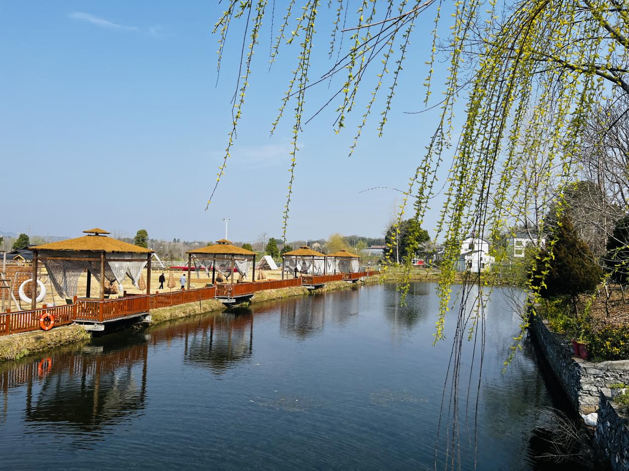 9e51642df795dc113ee4515b956a19e