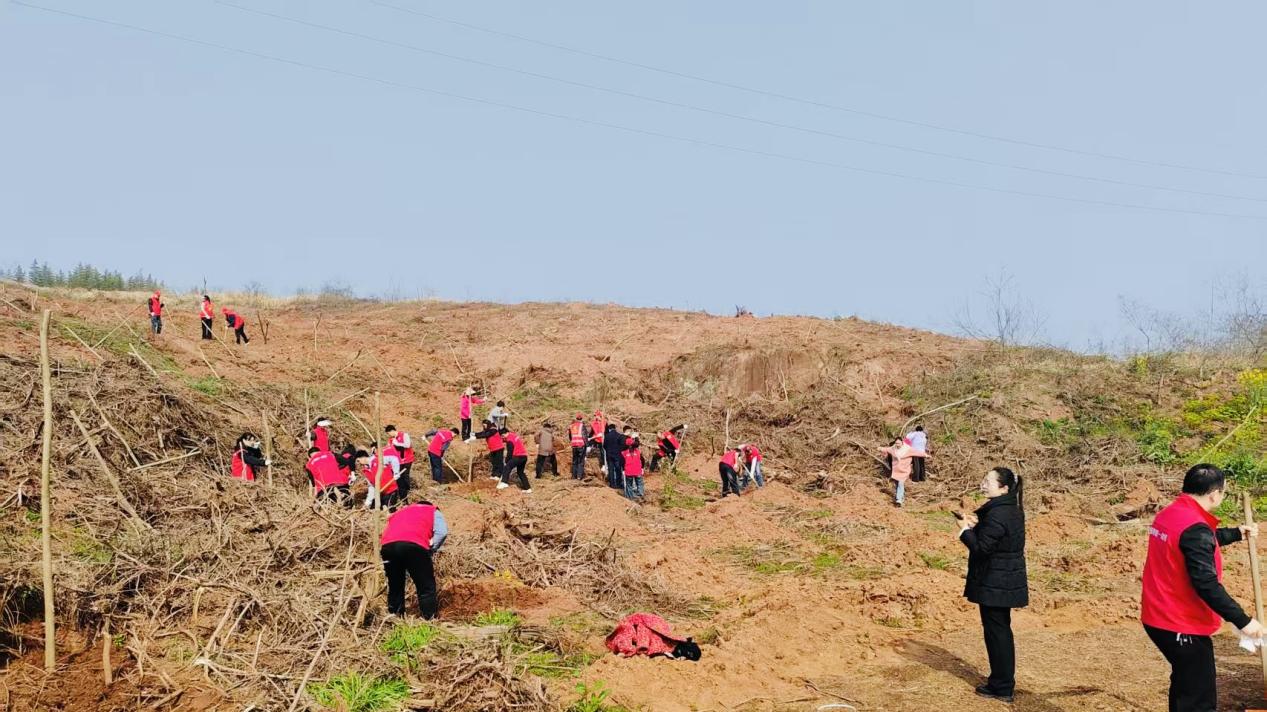 b29ba138caf0fb28ff248abee5da7be