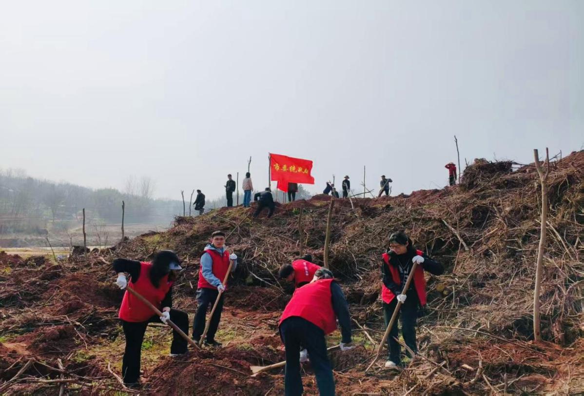 dac79d7da7c2f548ab5fe7e5b17b65f