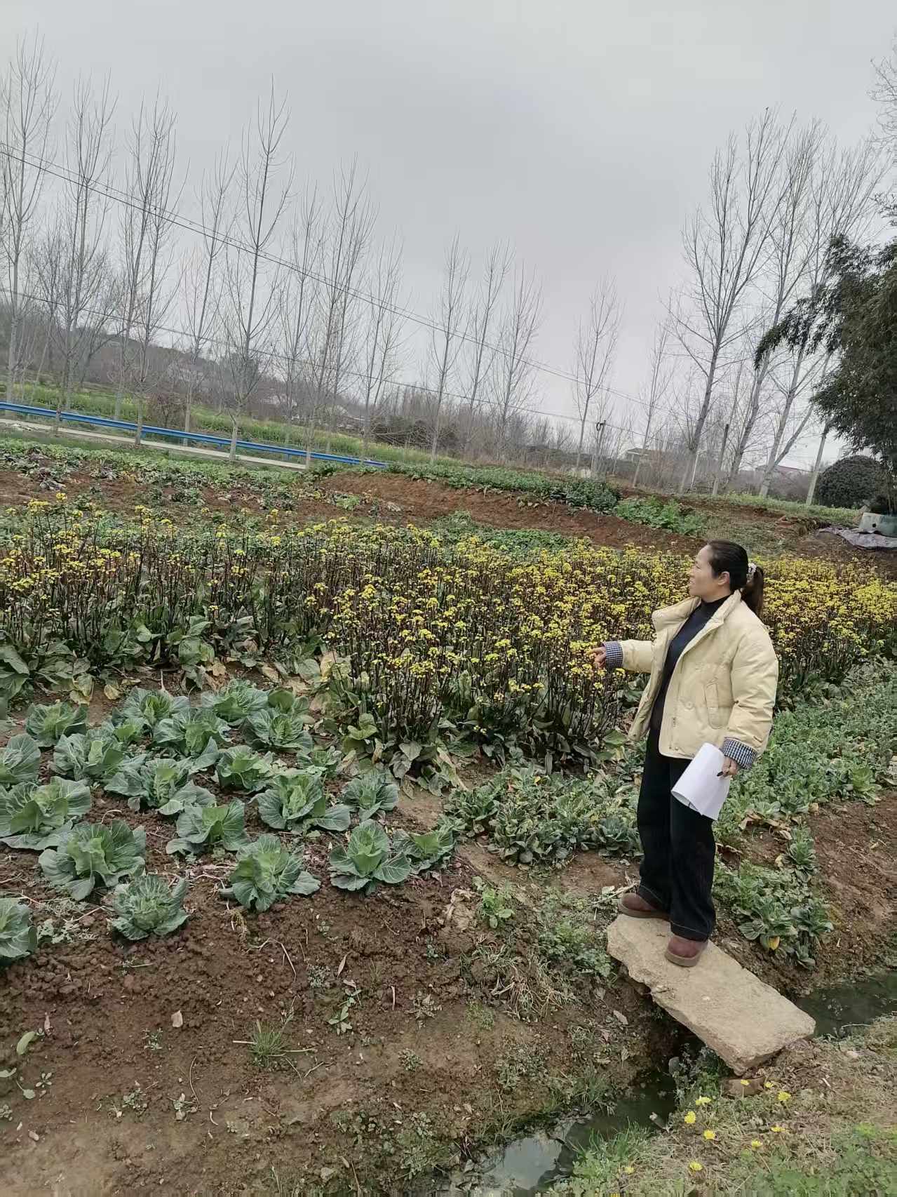 0765989181c1d04e61ee48404197efa8