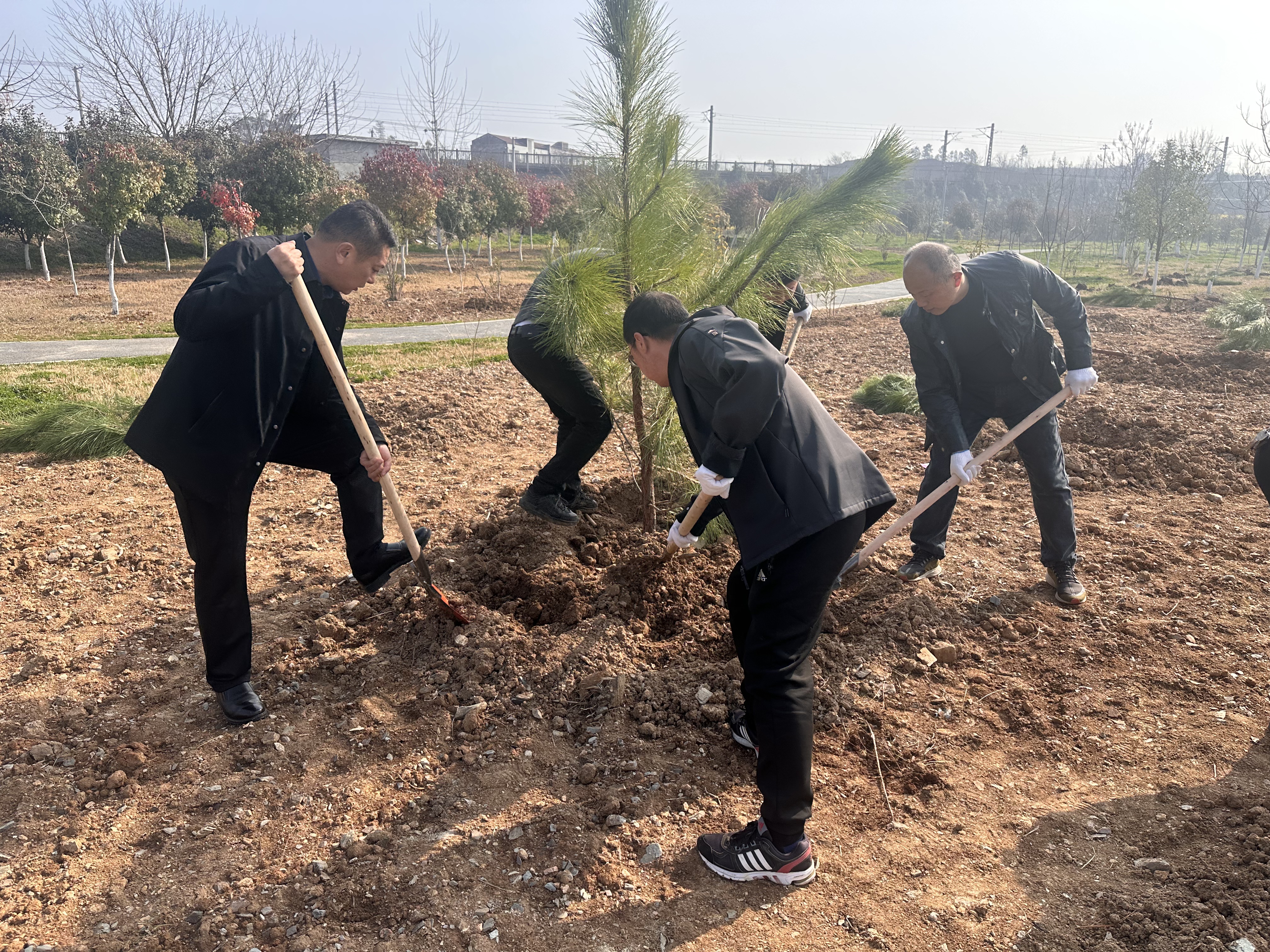 微信图片_20260311110957_235_13