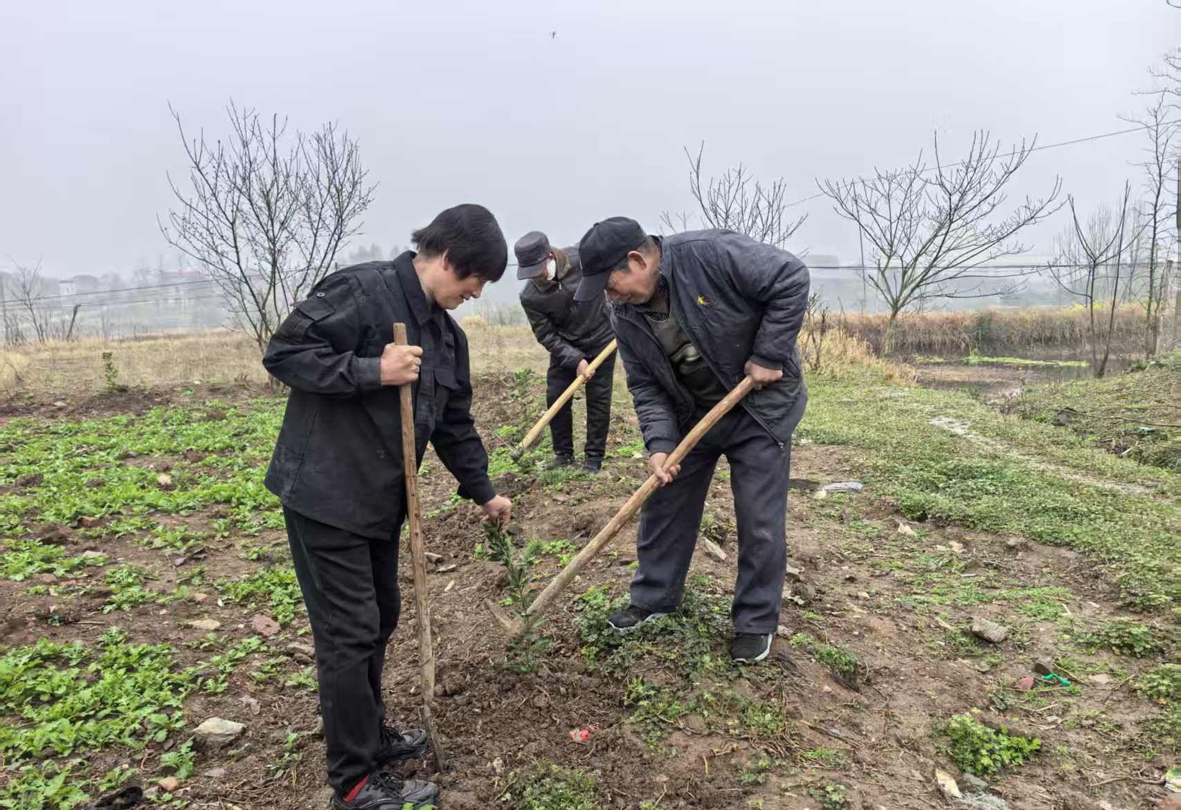 微信图片_20260324110021_954_4