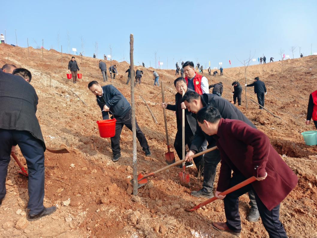 e933a0def75500d5627ad1de638576be