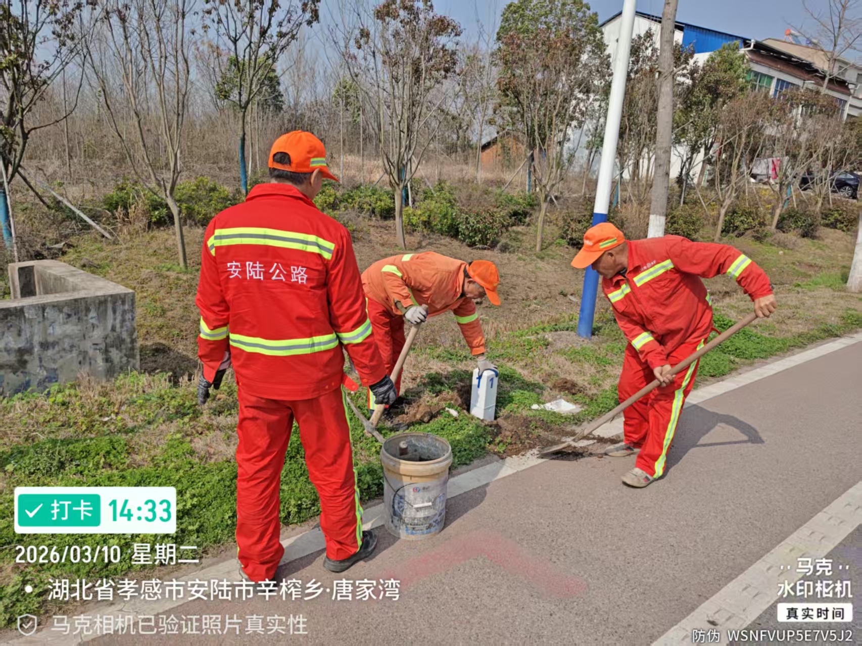 01fbca3ae1cbd9160e2dcdcfa72b2b44