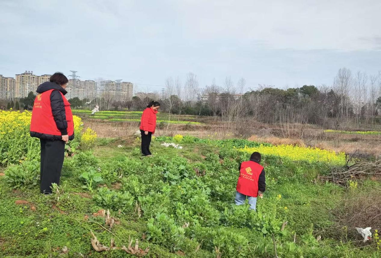 7bc71667050140ecf781b43e02679e45