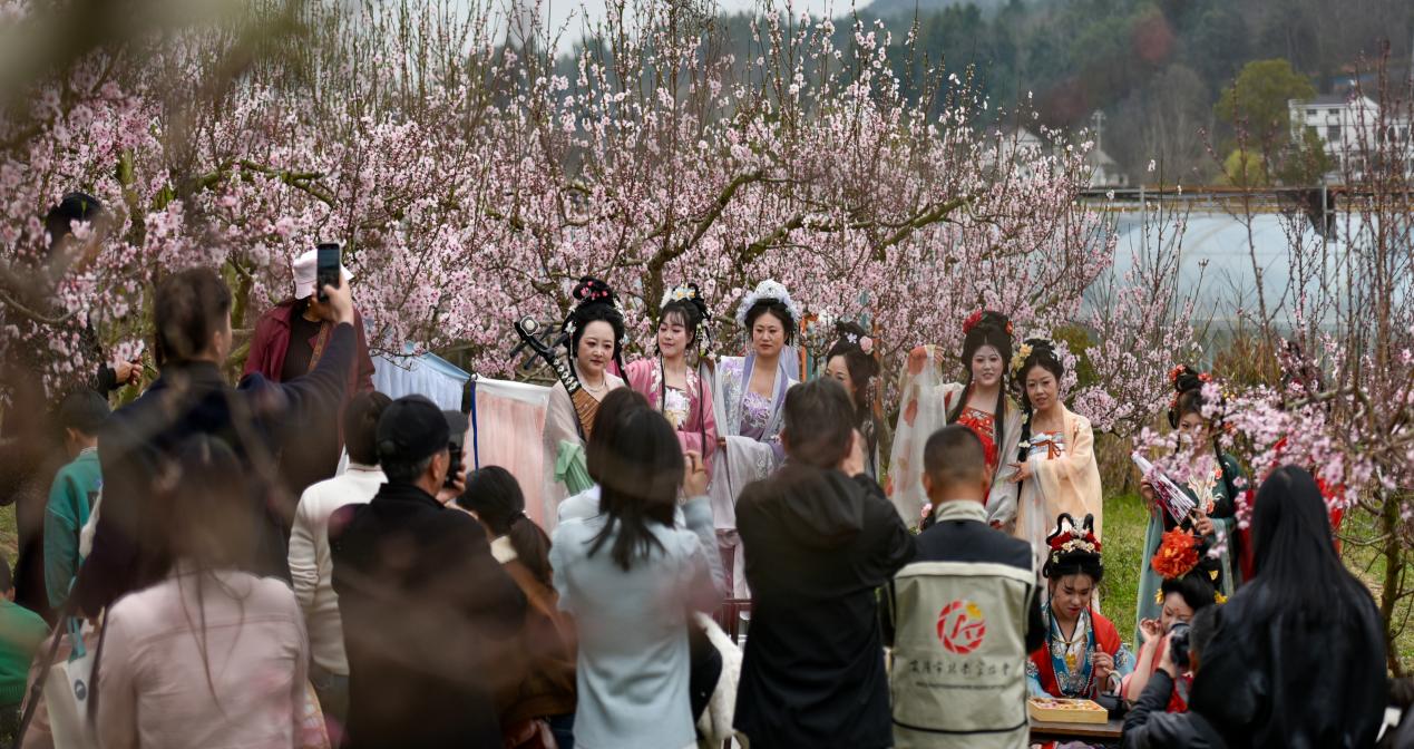 c94f6ceac68e15af760eae62e0fb043