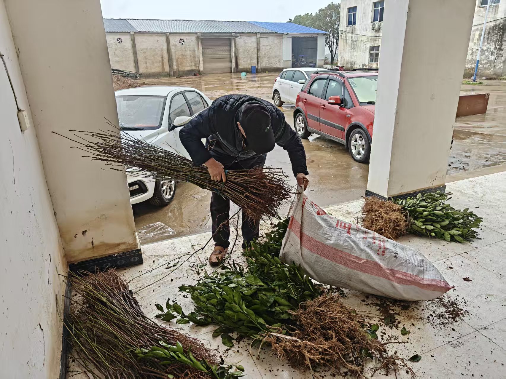 微信图片_20260324101253_946_4