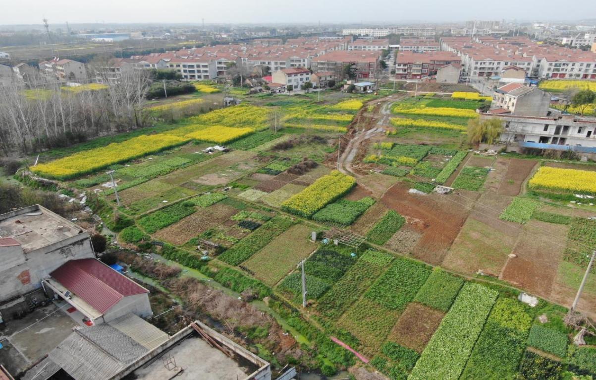 dcd339fc0f81272d21af079e58eaa4e2