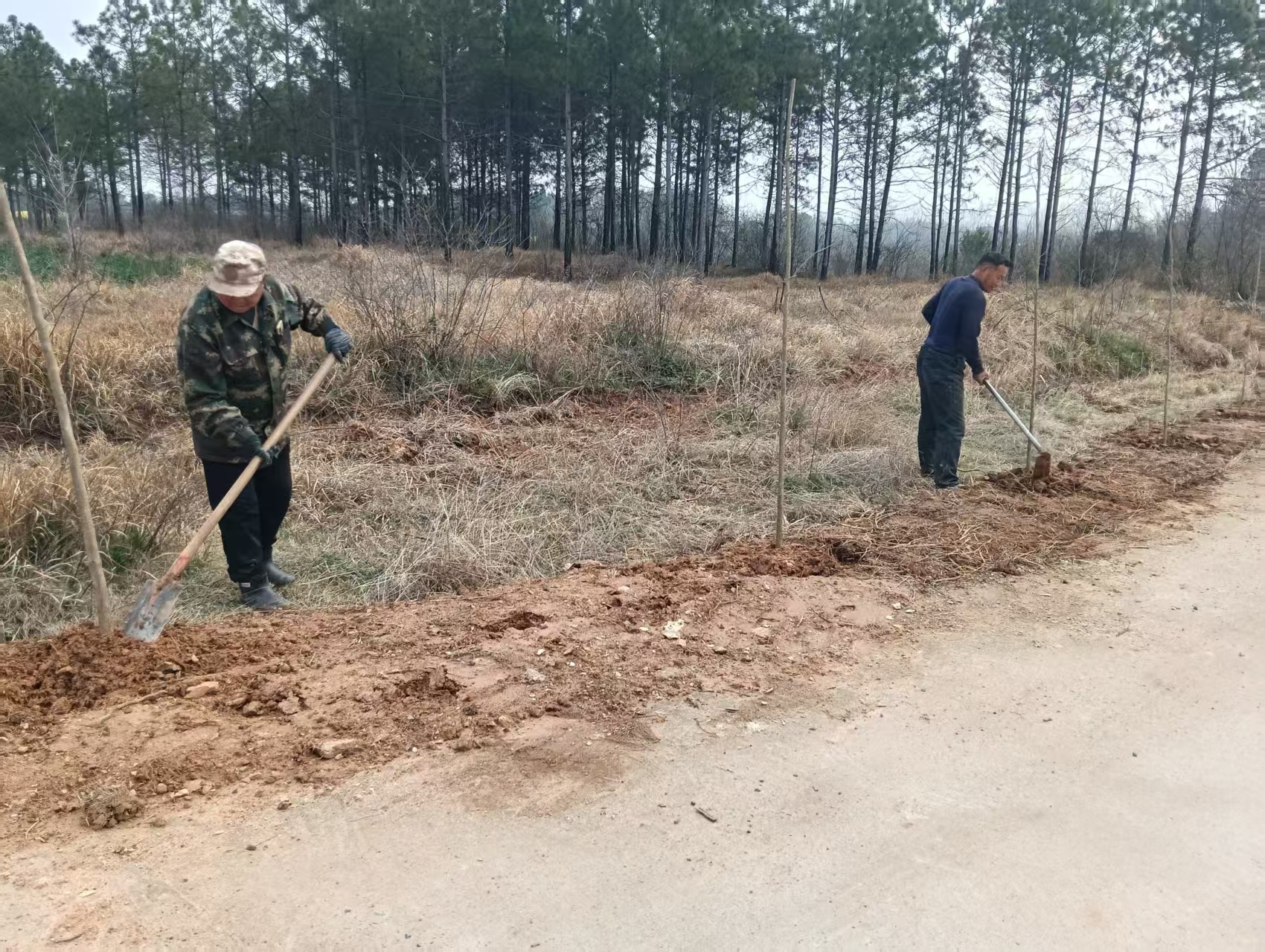 微信图片_20260324113057_734_154