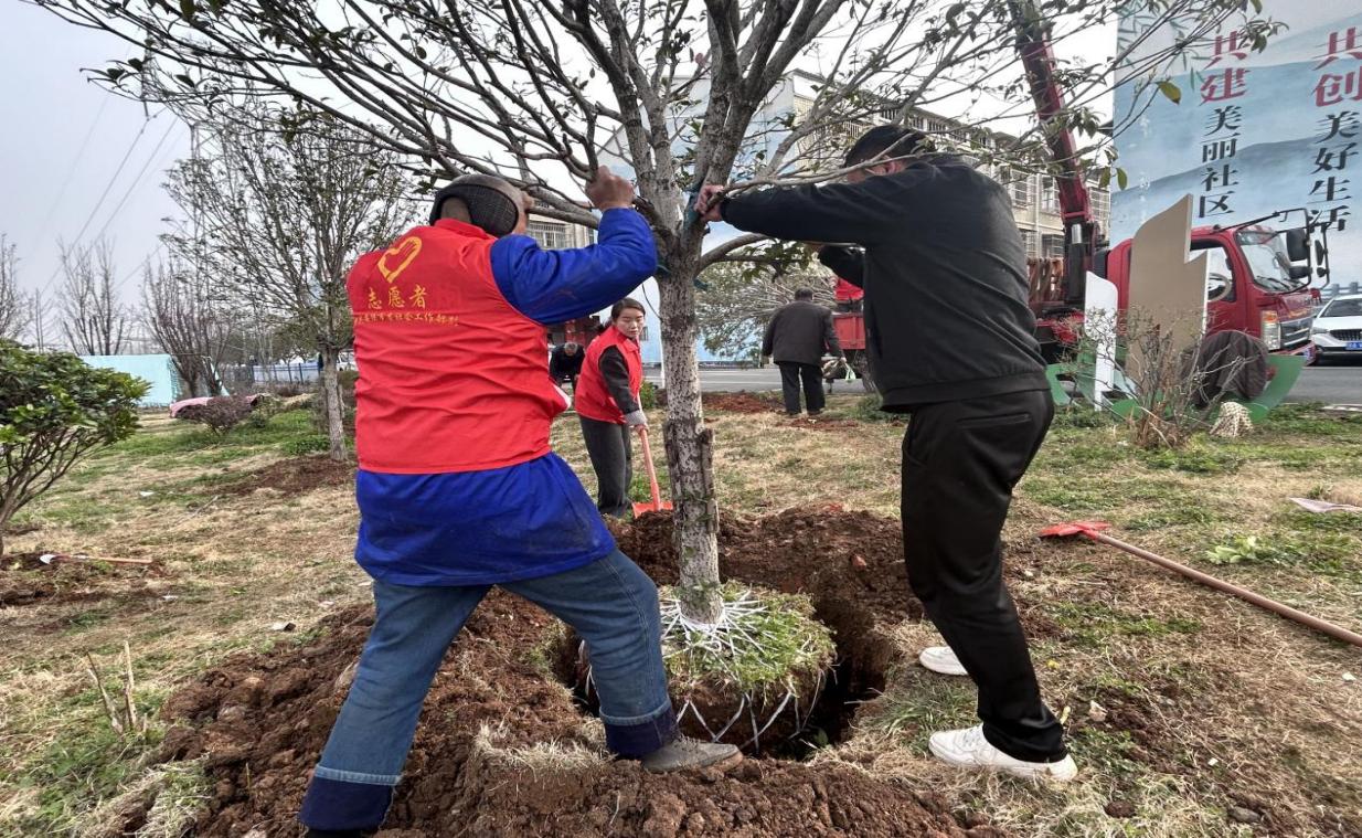 d62e0a48cfbbb9e2e07cab78ffe15a2d