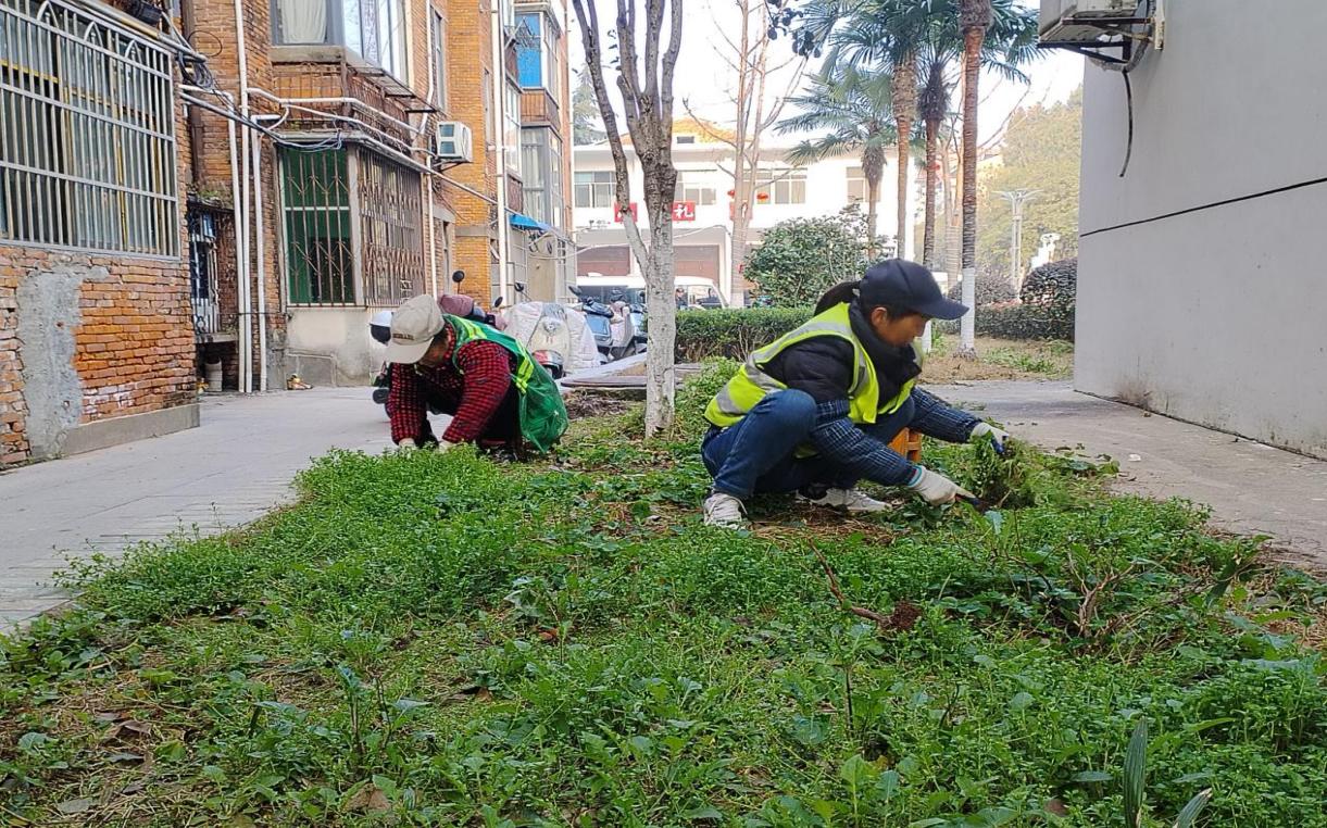 add220951b14cb75a12a91f29eb1f12