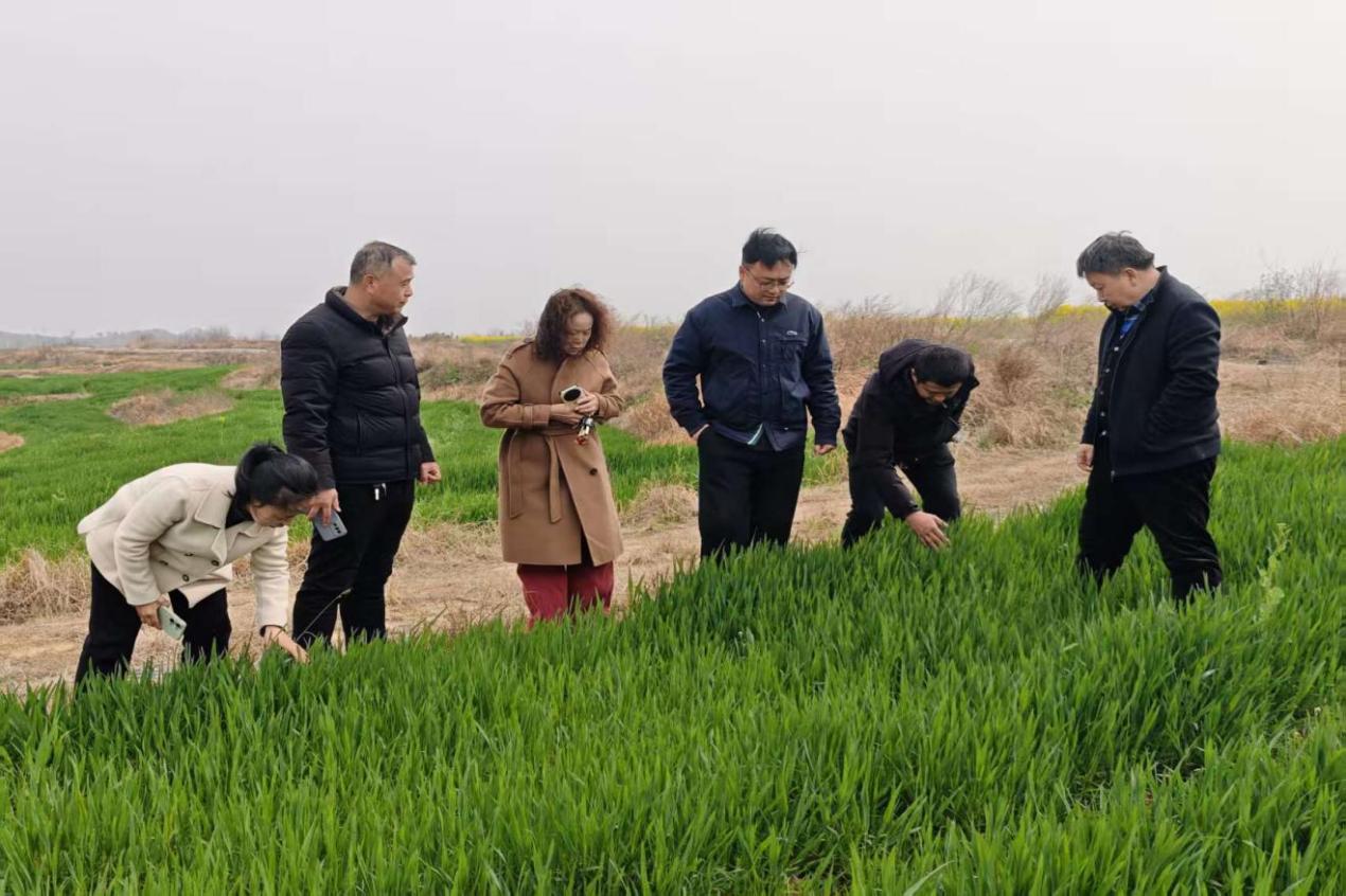 9e4ff3fa6343a176732d3da5d5cab8e1