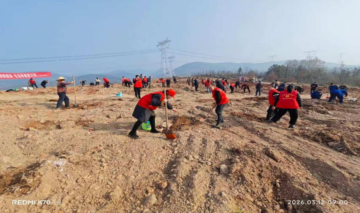 03b267bcfd9fa15ed6266c8cafb13764