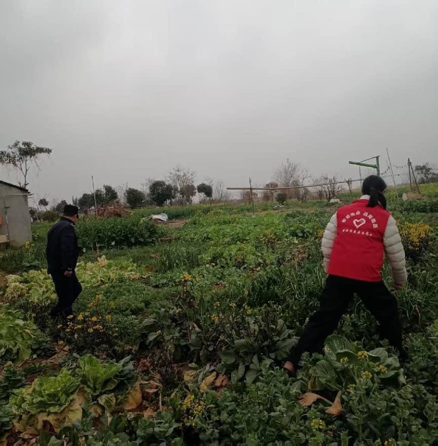 d8314d2e0686acc6d96e66818444fa82