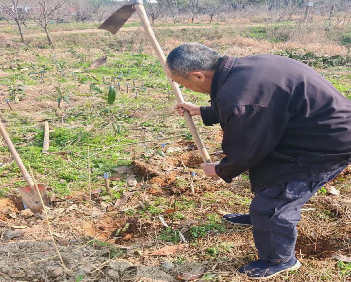 微信图片_20260316160600_1306_2