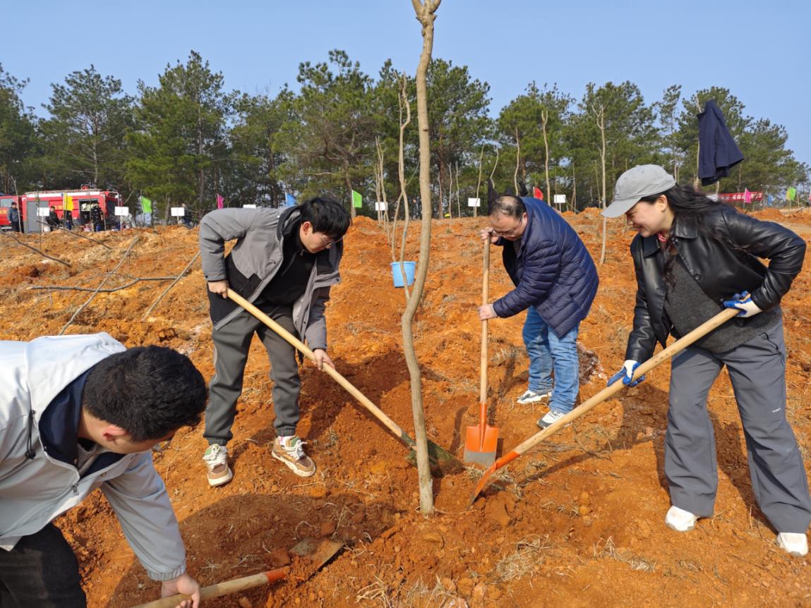 2026年3月10日，王琰（右一）带领赵晶（右二）、邓欣诺（左二）、匡富鑫（左一）参加2026年度义务植树活动（1）